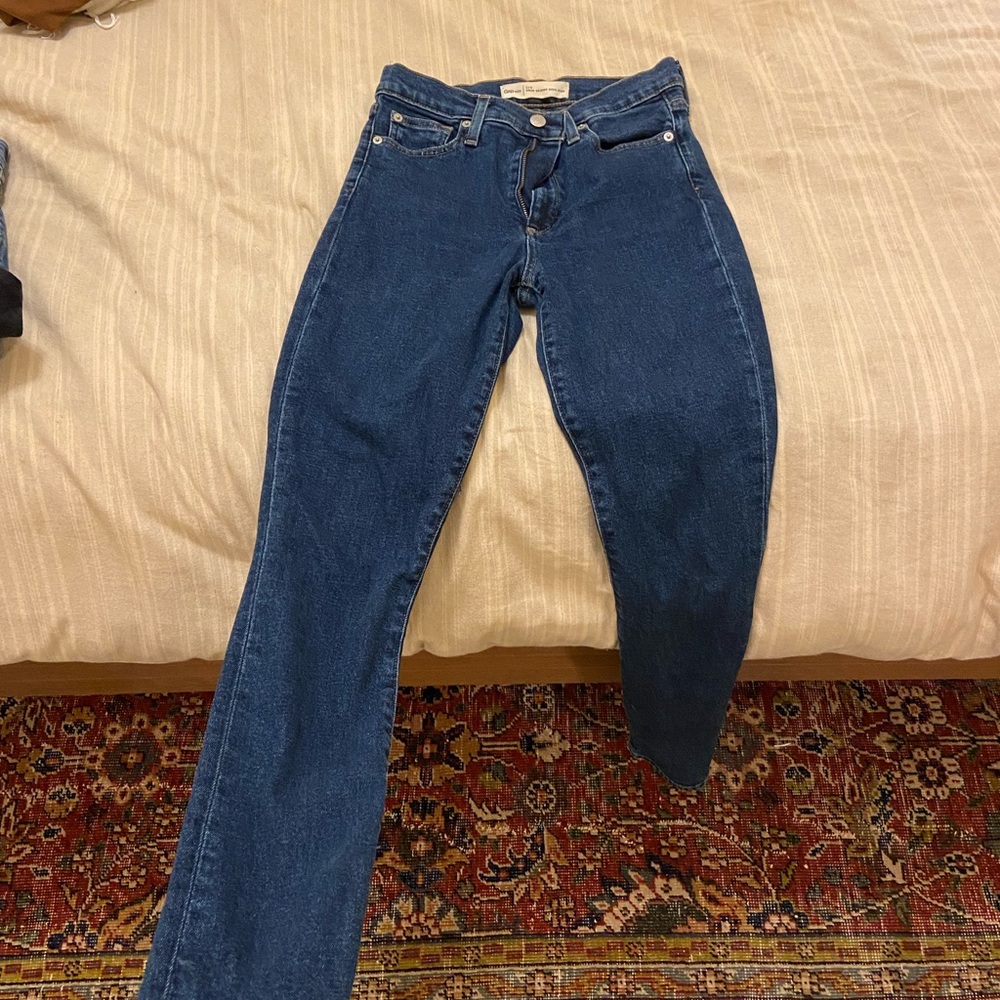 True skinny high rise gap 1969 27r